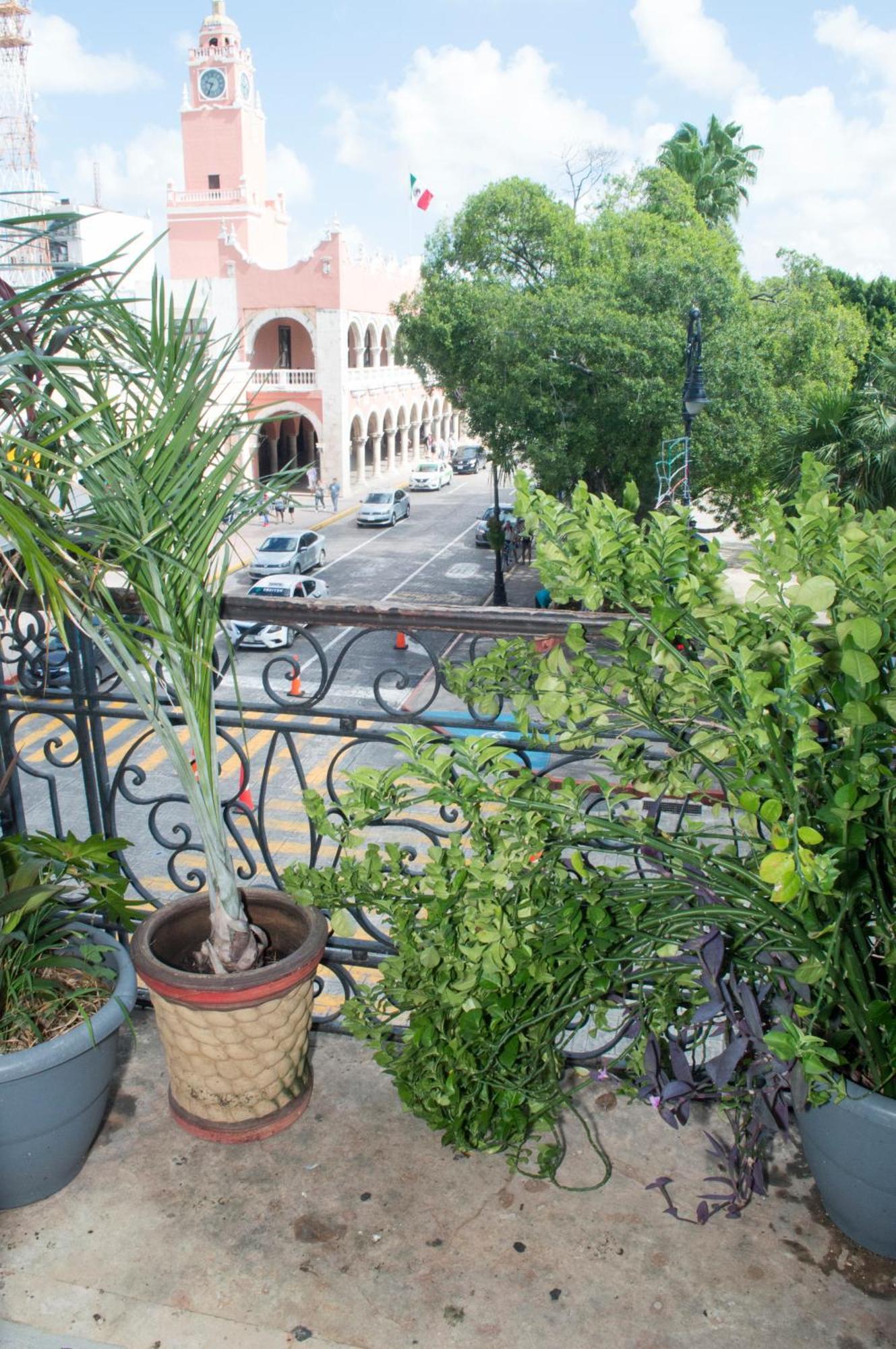 Hostal Zocalo Hotel Merida Ngoại thất bức ảnh